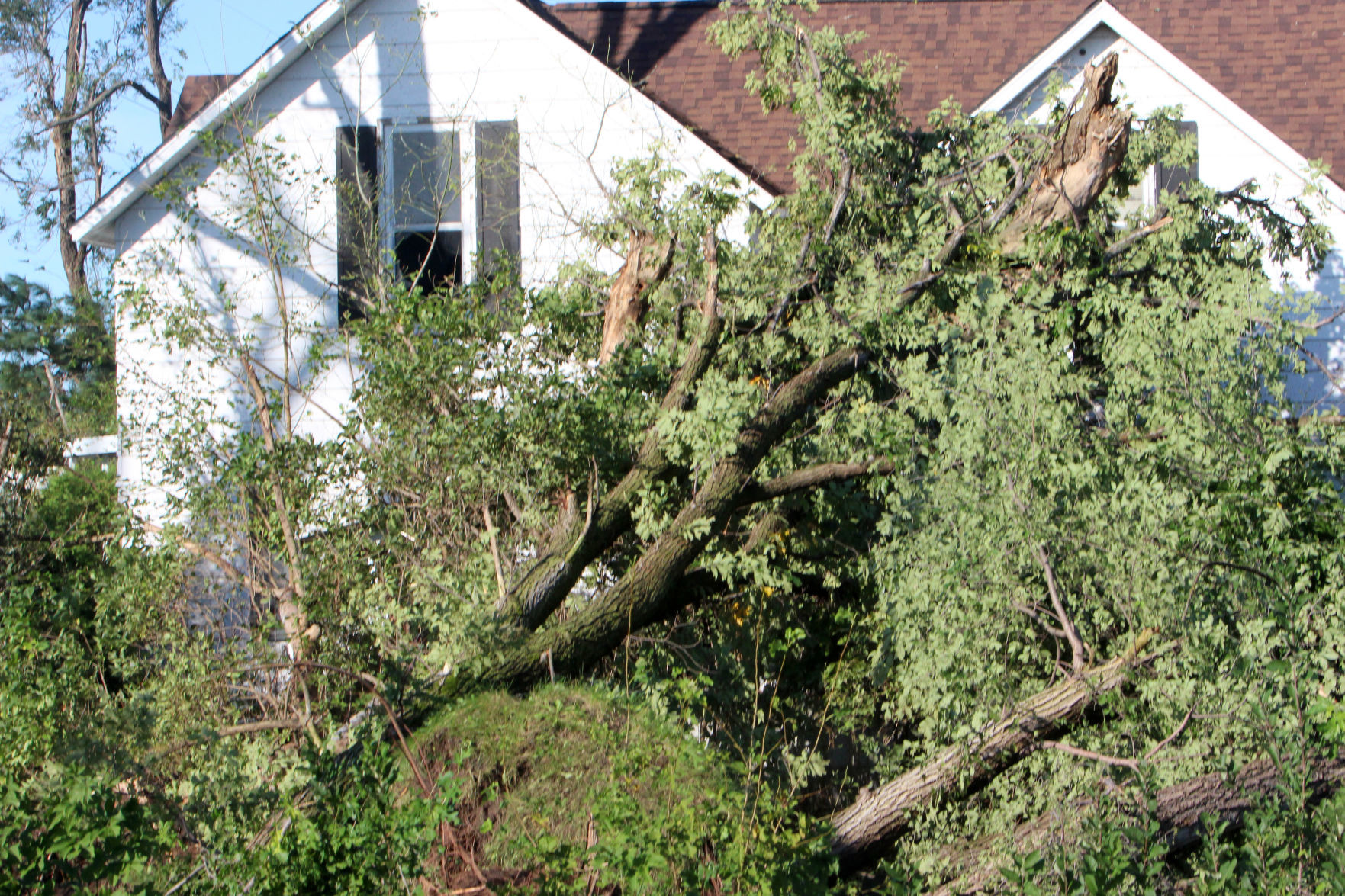 Tornado damage in near Wheaton/Elk Mound 9-25